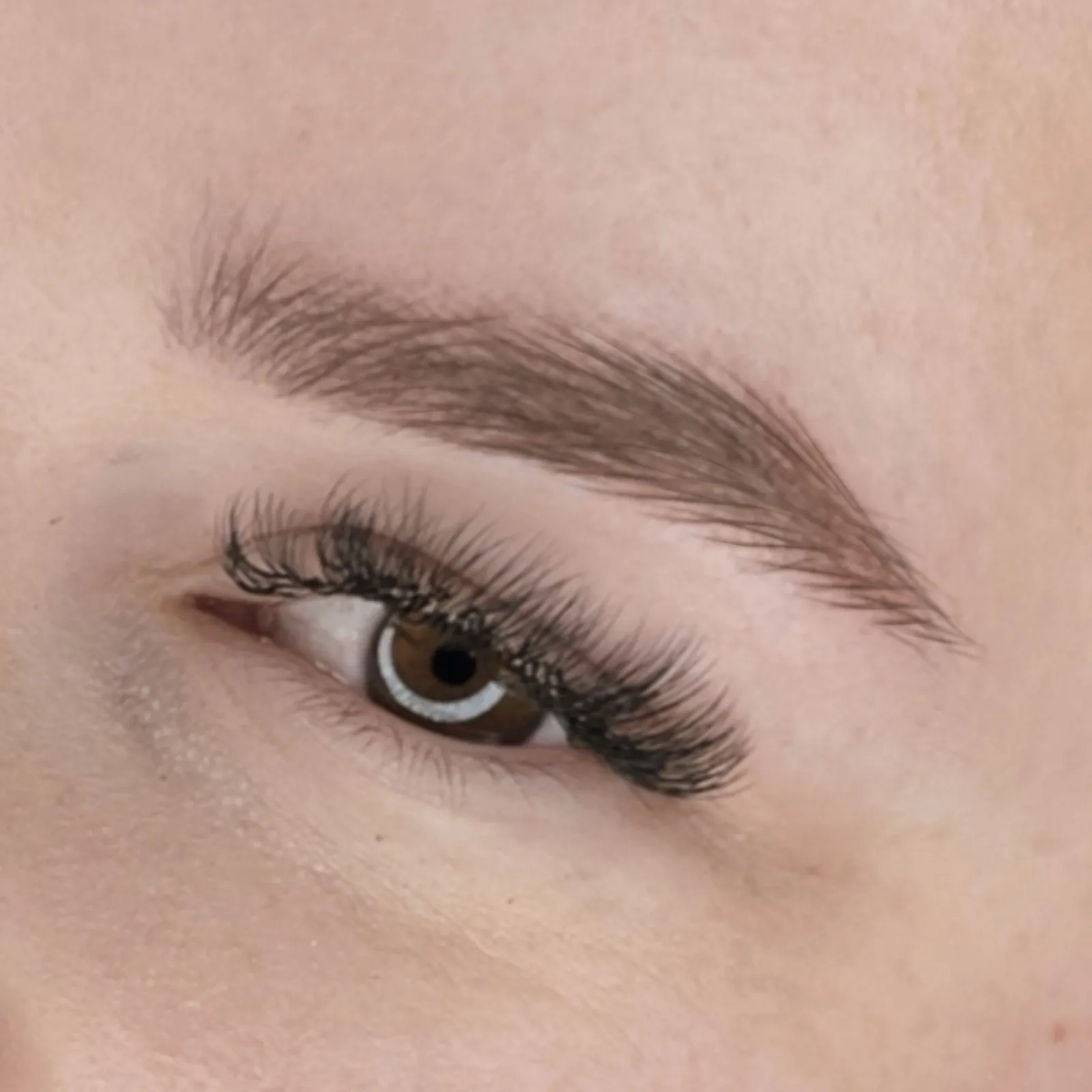 Powder Brows Augenbrauen PMU