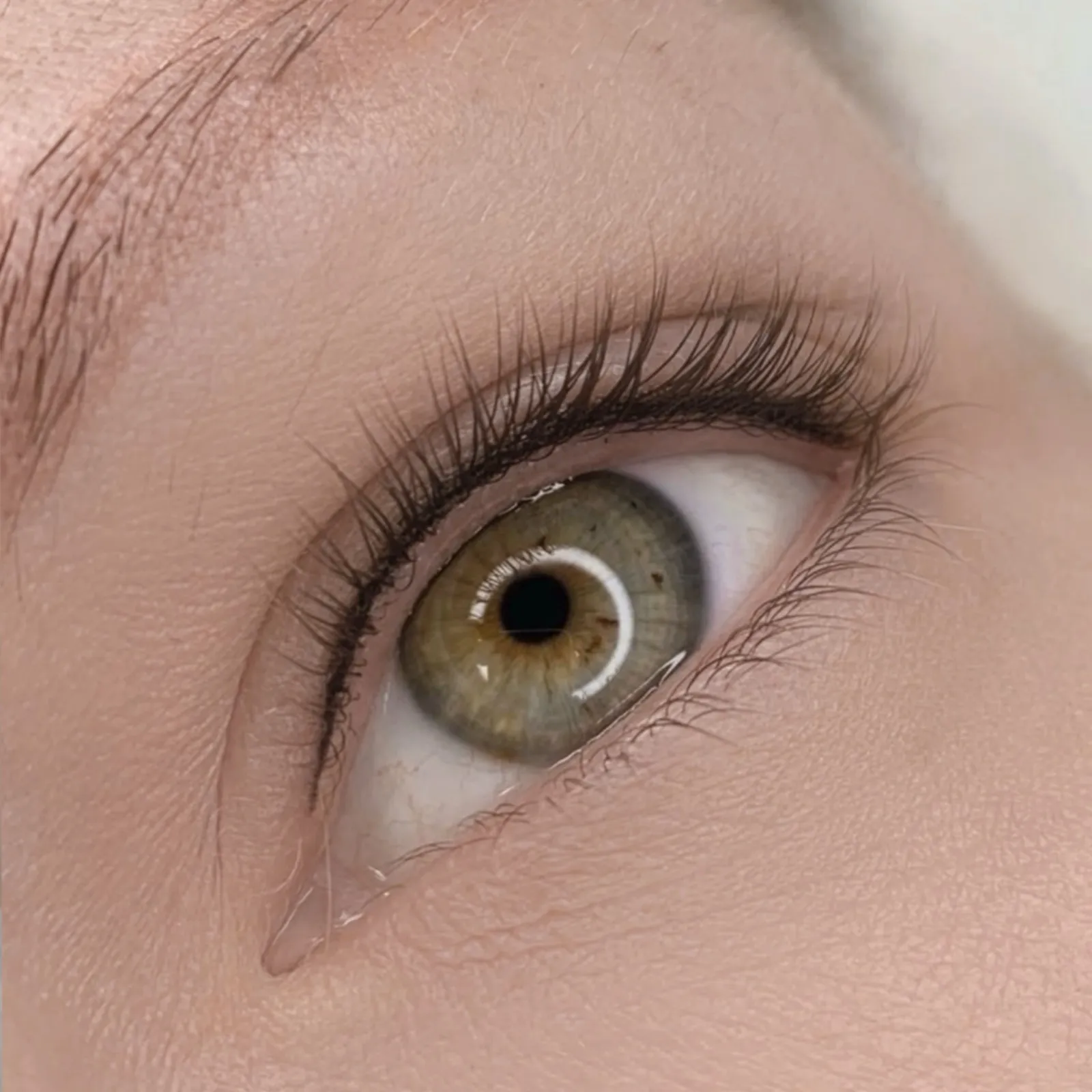 Permanent Make-up Augenbrauen