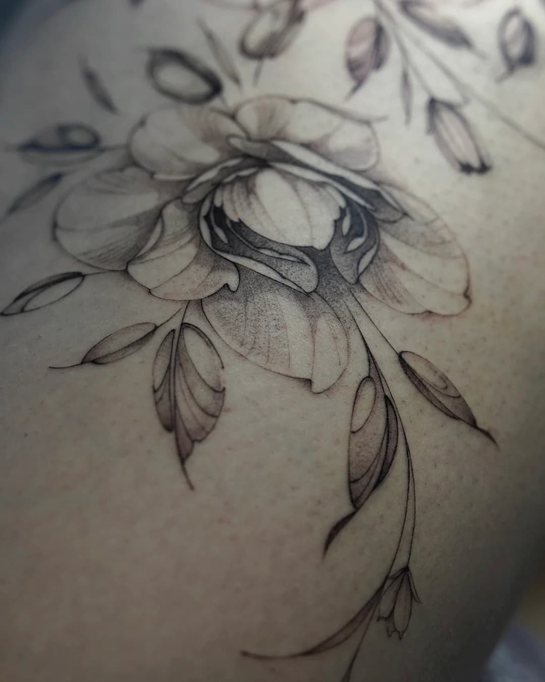 Fine Line Pfingstrose in Black & Grey — Villingen-Schwenningen